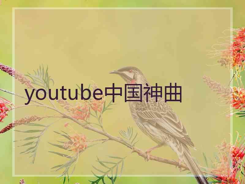 youtube中国神曲