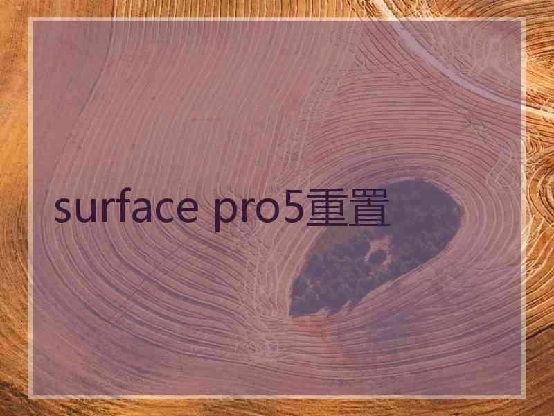 surface pro5重置