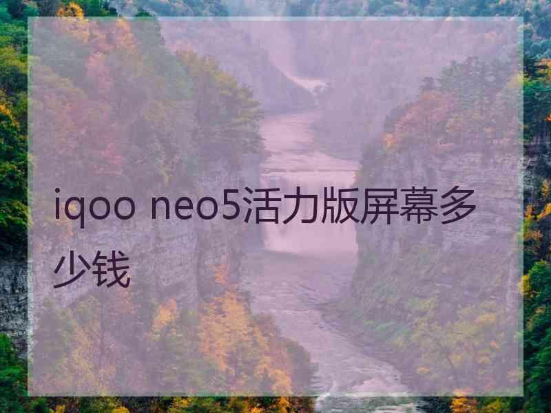 iqoo neo5活力版屏幕多少钱