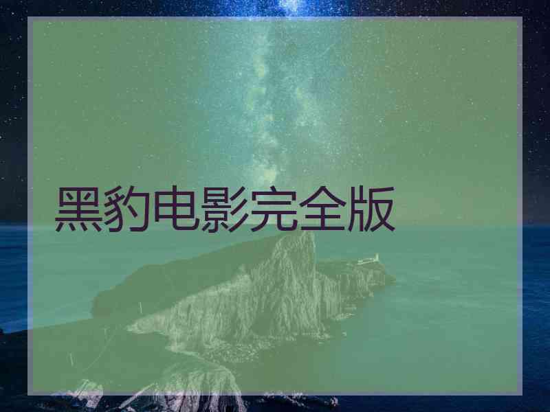 黑豹电影完全版