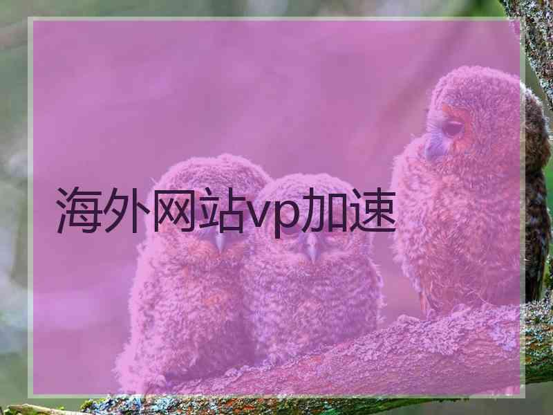 海外网站vp加速