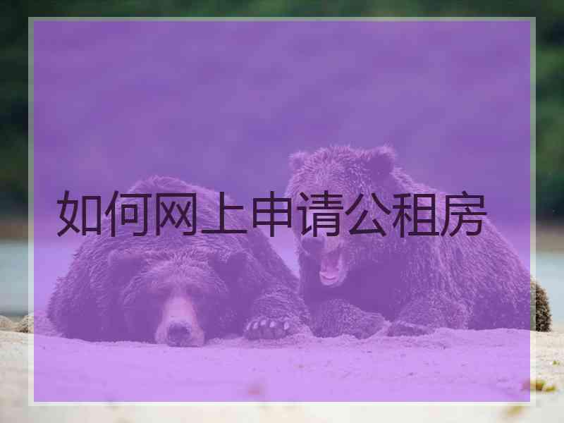 如何网上申请公租房