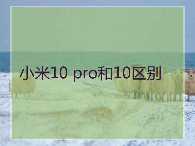 小米10 pro和10区别