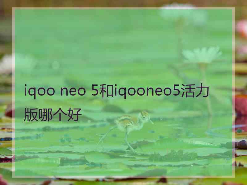 iqoo neo 5和iqooneo5活力版哪个好