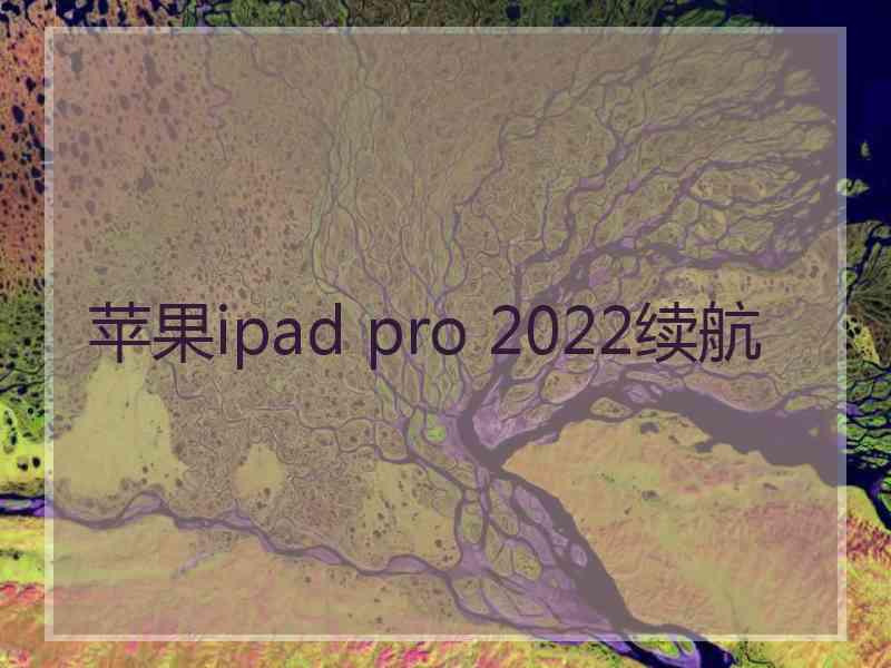 苹果ipad pro 2022续航