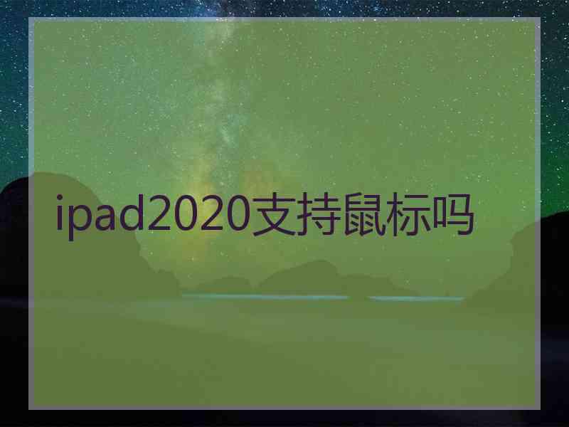 ipad2020支持鼠标吗