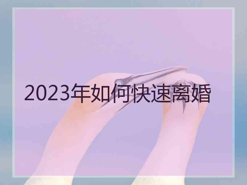 2023年如何快速离婚