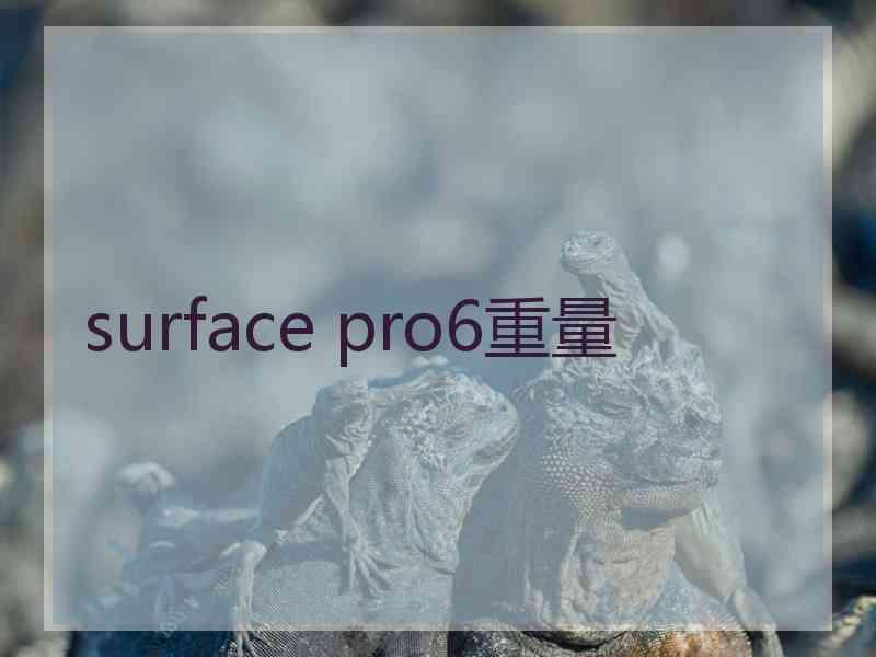 surface pro6重量