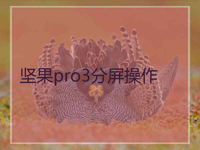 坚果pro3分屏操作