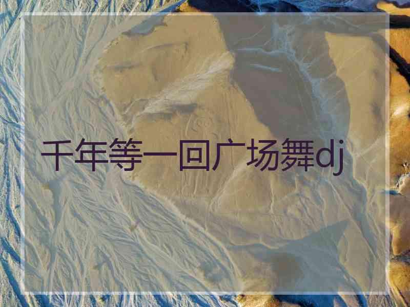 千年等一回广场舞dj