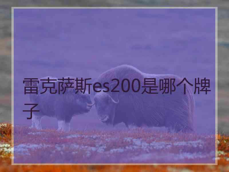 雷克萨斯es200是哪个牌子