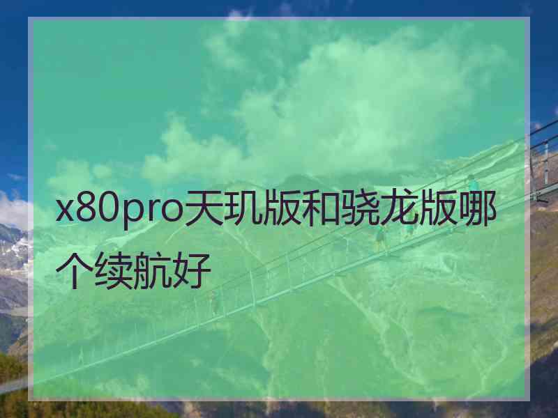 x80pro天玑版和骁龙版哪个续航好