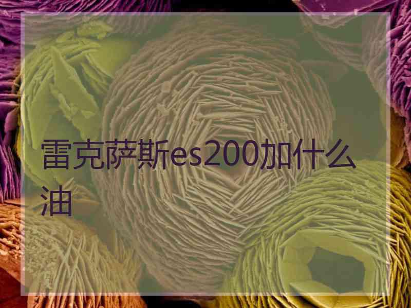 雷克萨斯es200加什么油