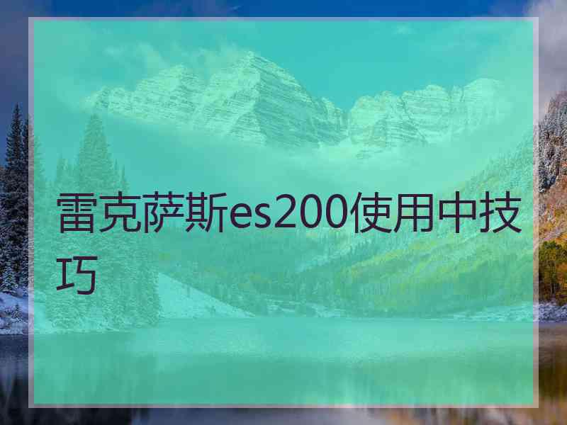 雷克萨斯es200使用中技巧