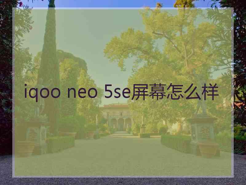 iqoo neo 5se屏幕怎么样