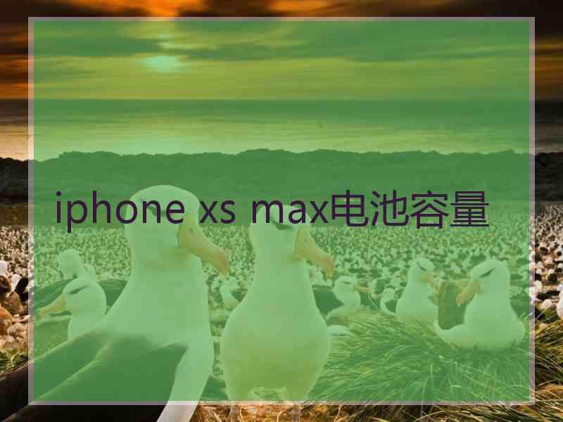 iphone xs max电池容量