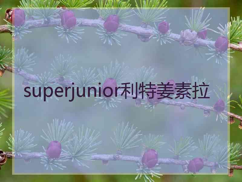 superjunior利特姜素拉