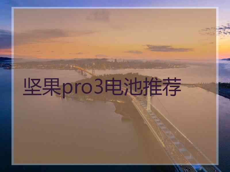 坚果pro3电池推荐