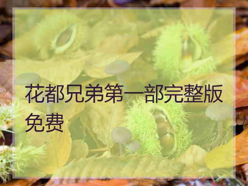 花都兄弟第一部完整版免费