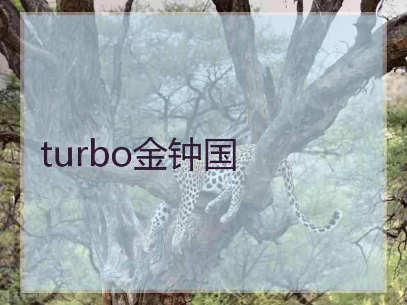 turbo金钟国