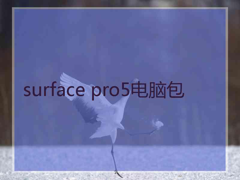 surface pro5电脑包