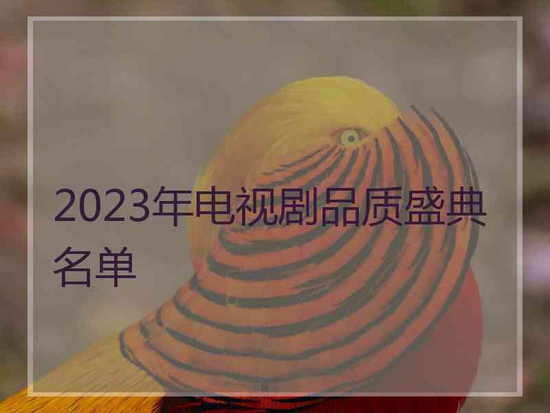 2023年电视剧品质盛典名单