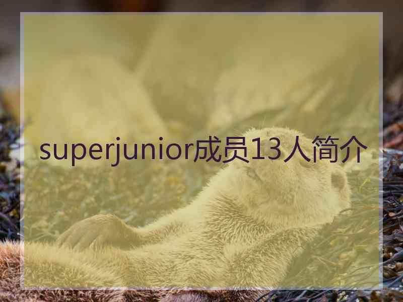 superjunior成员13人简介