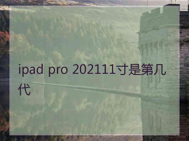 ipad pro 202111寸是第几代