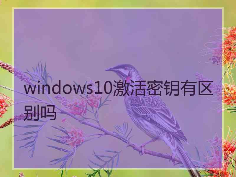 windows10激活密钥有区别吗