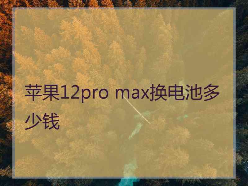 苹果12pro max换电池多少钱