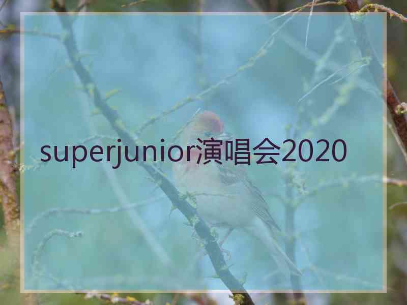superjunior演唱会2020