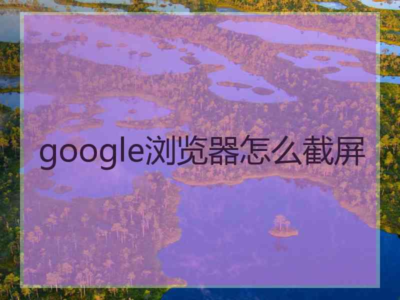 google浏览器怎么截屏