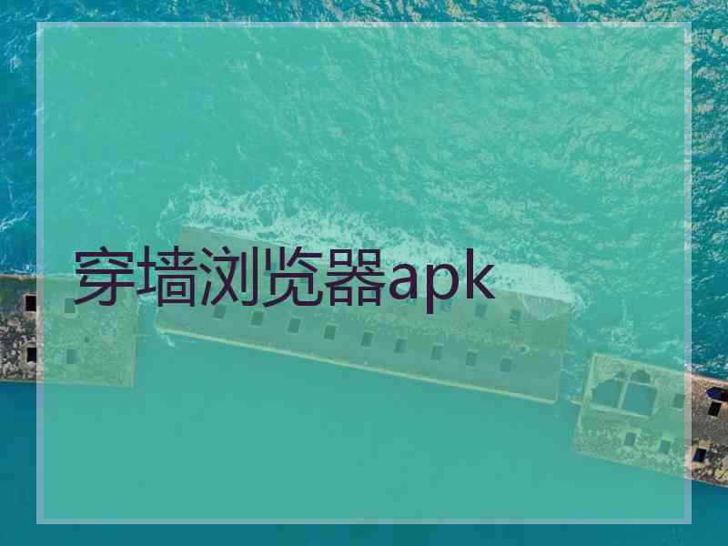 穿墙浏览器apk