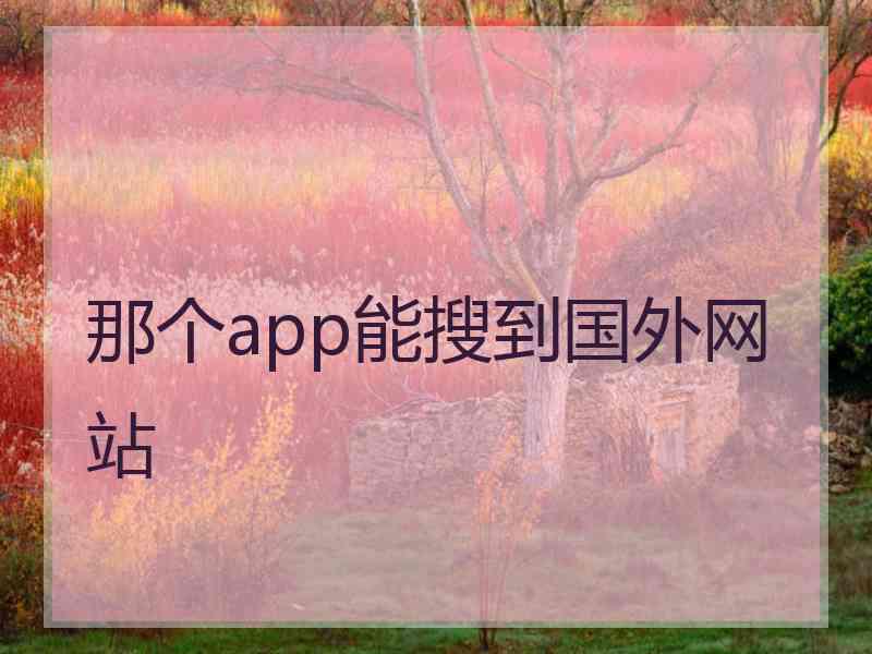 那个app能搜到国外网站