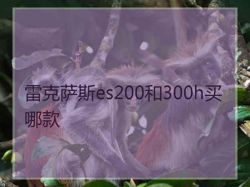 雷克萨斯es200和300h买哪款