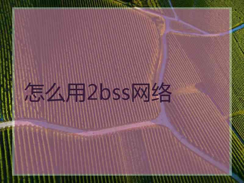 怎么用2bss网络