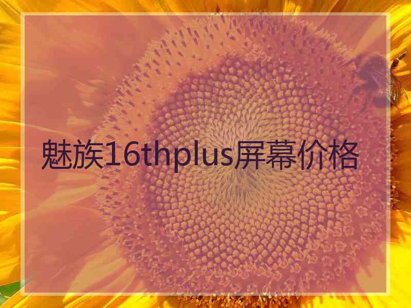 魅族16thplus屏幕价格