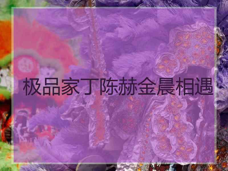 极品家丁陈赫金晨相遇