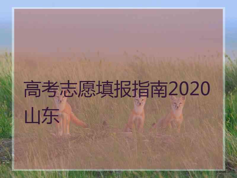 高考志愿填报指南2020山东