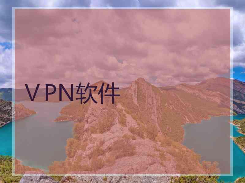 ⅤPN软件