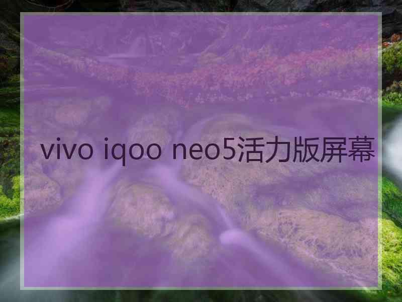 vivo iqoo neo5活力版屏幕