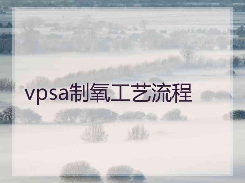 vpsa制氧工艺流程