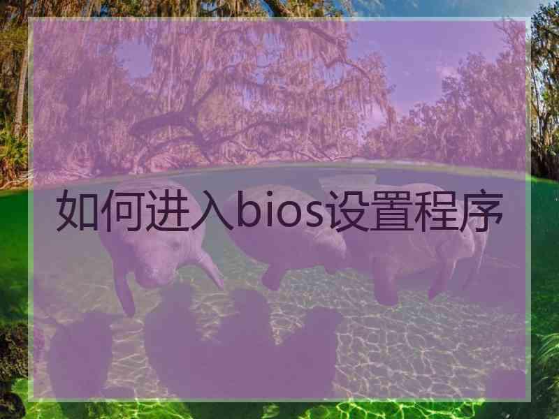 如何进入bios设置程序