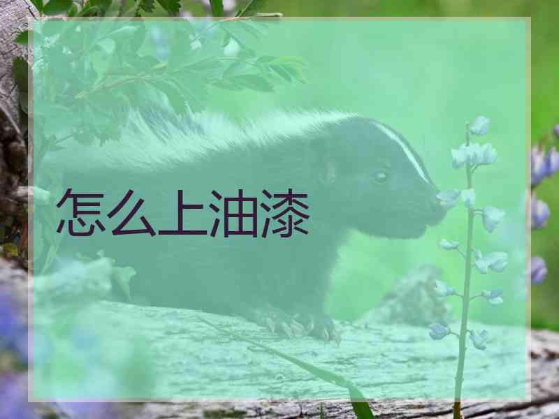 怎么上油漆