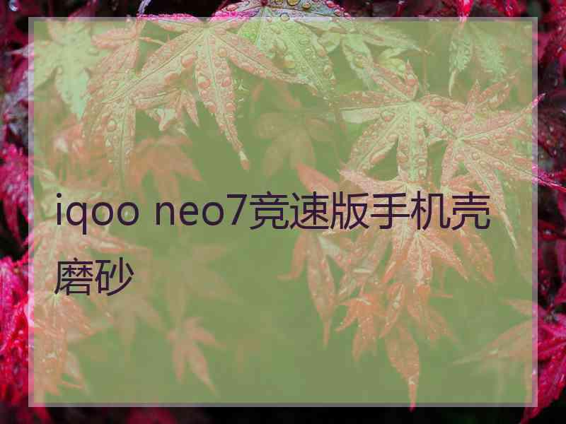 iqoo neo7竞速版手机壳磨砂