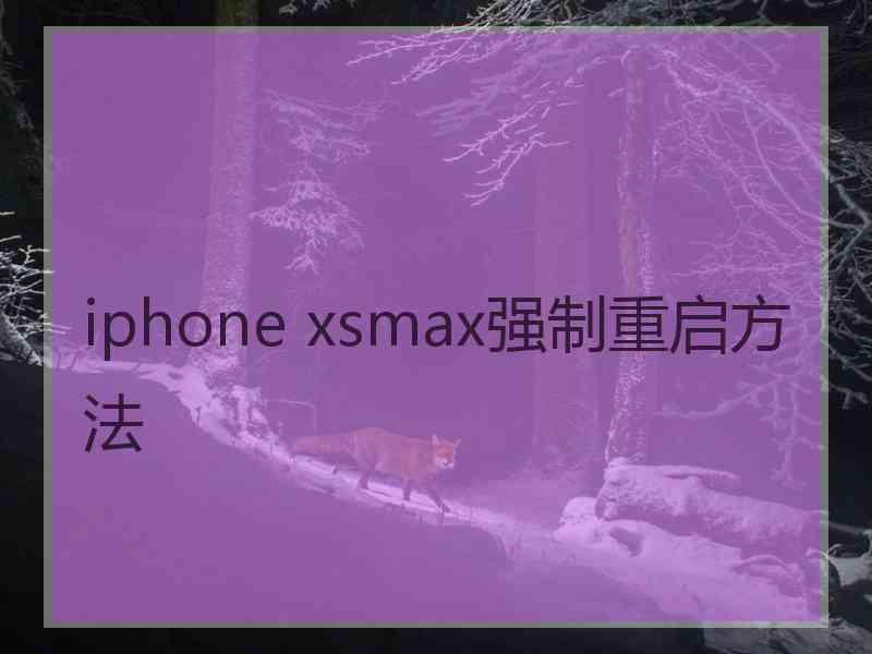 iphone xsmax强制重启方法