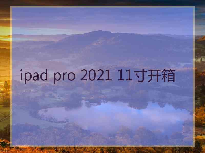 ipad pro 2021 11寸开箱