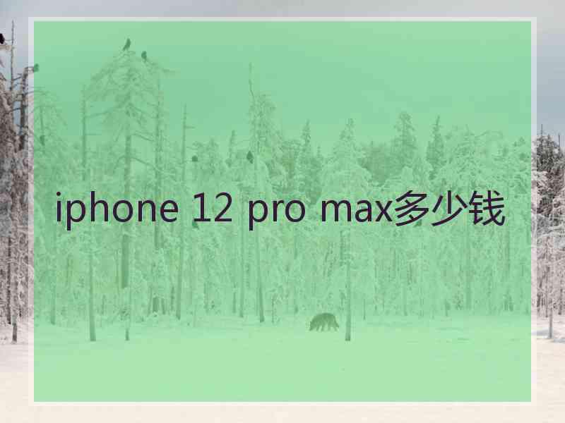 iphone 12 pro max多少钱