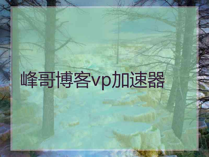 峰哥博客vp加速器