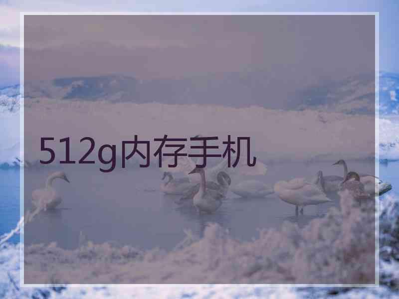 512g内存手机